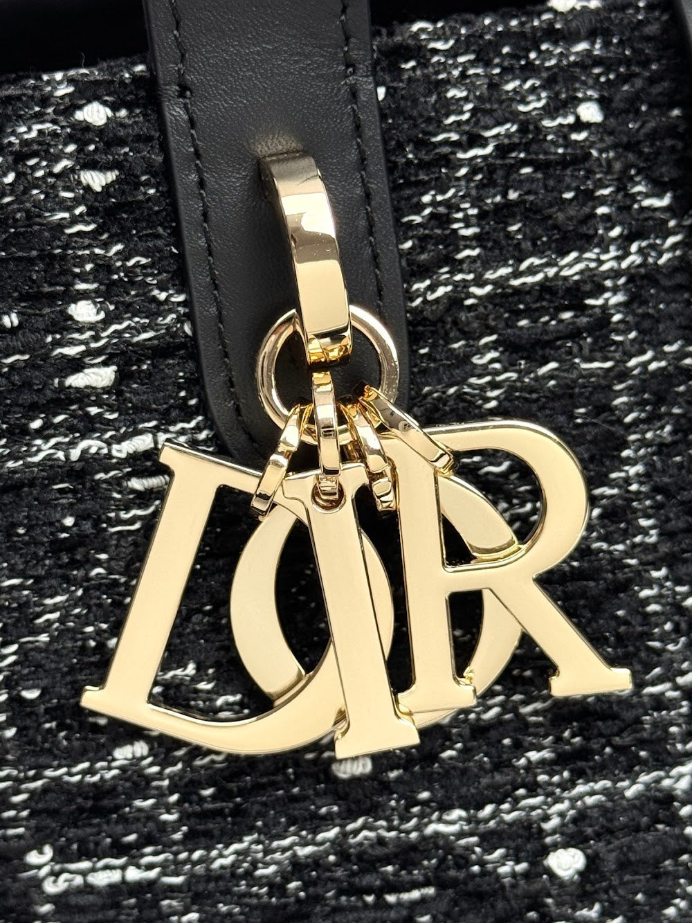 Anum Bags Diorn Luxury Bag --114957
