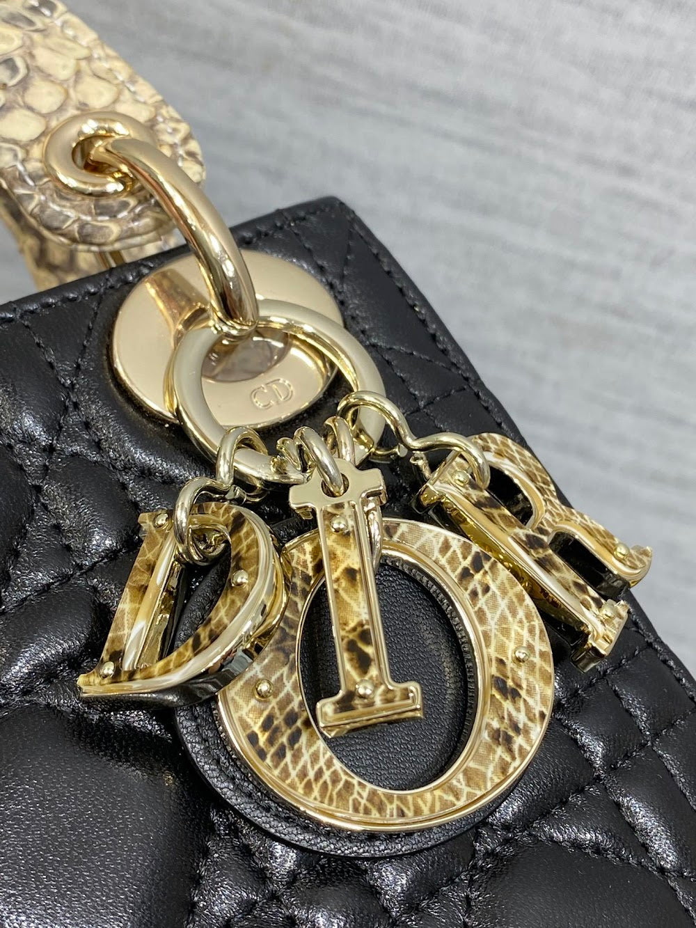 Ezyycart Bags Diorn Luxury Bag --115234