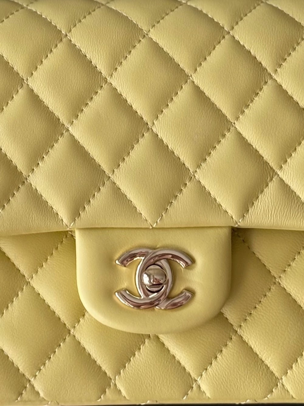 Anum Bags CHn Luxury Bag --112998