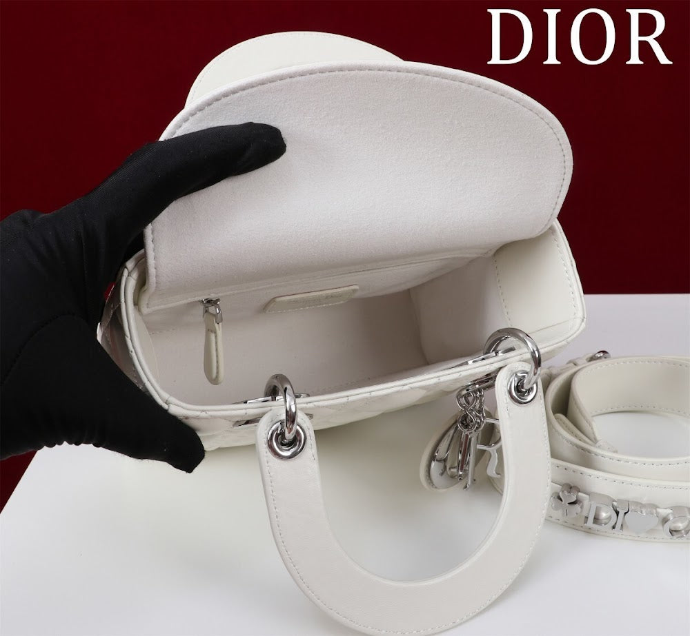 Ezyycart Bags Diorn Luxury Bag --115935