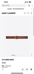 Ezyycart Bags YSLn Luxury Belt --107609