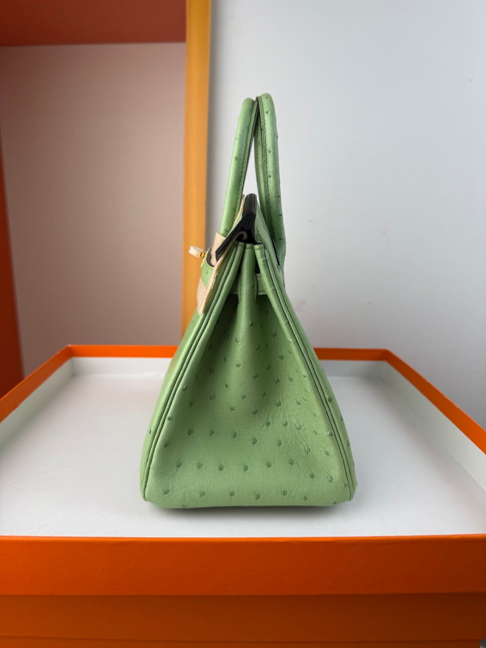 Anum Bags Hermesn Luxury Bag --116759