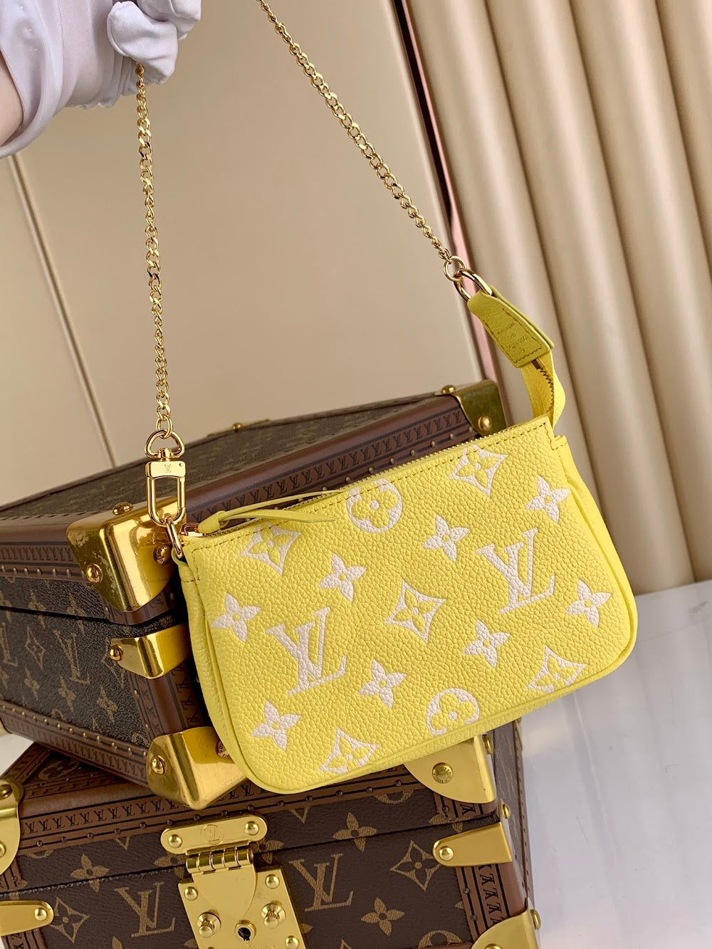 Anum Bags LV Luxury Bag --55758