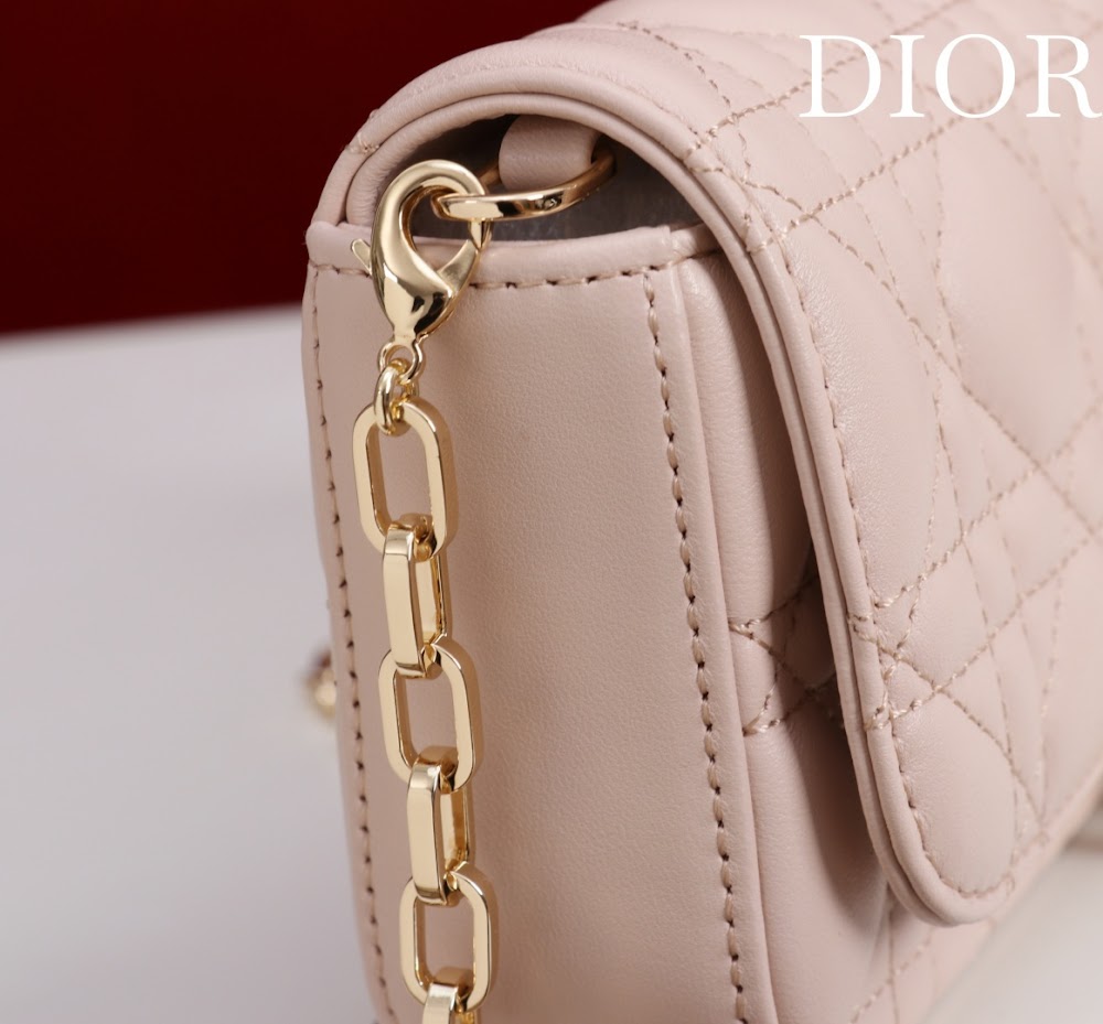 Ezyycart Bags Diorn Luxury Bag --116346