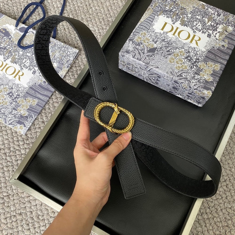 Anum Bags Diorn Luxury Belt --104902