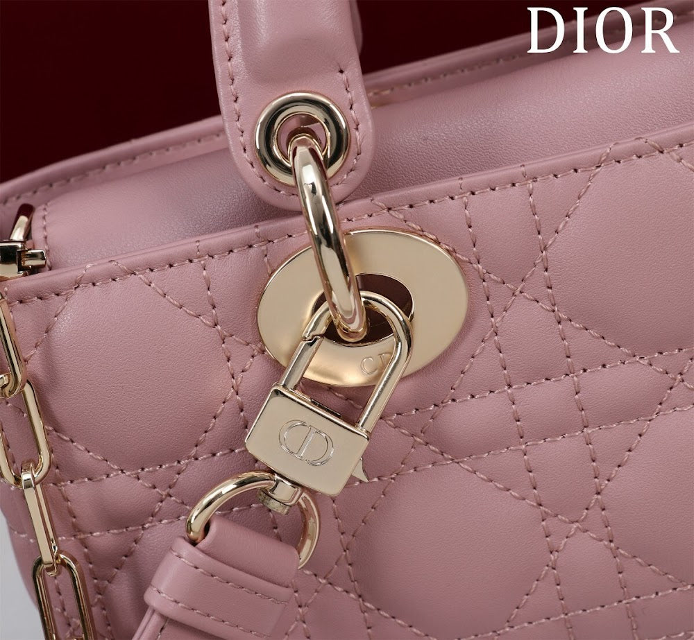 Anum Bags Diorn Luxury Bag --114749