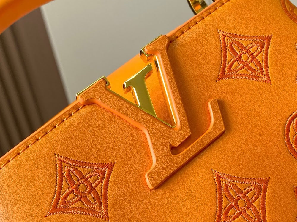 Anum Bags LVn Luxury Bag --78700