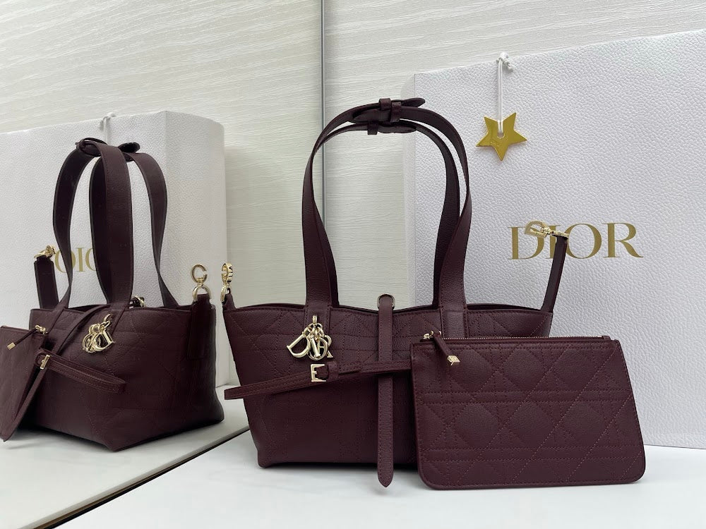 Ezyycart Bags Diorn Luxury Bag --115393
