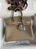 new-luxury-designer-bags-nm11334
