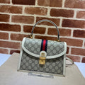 Ezyycart Bags Guccin Luxury Bag --95455