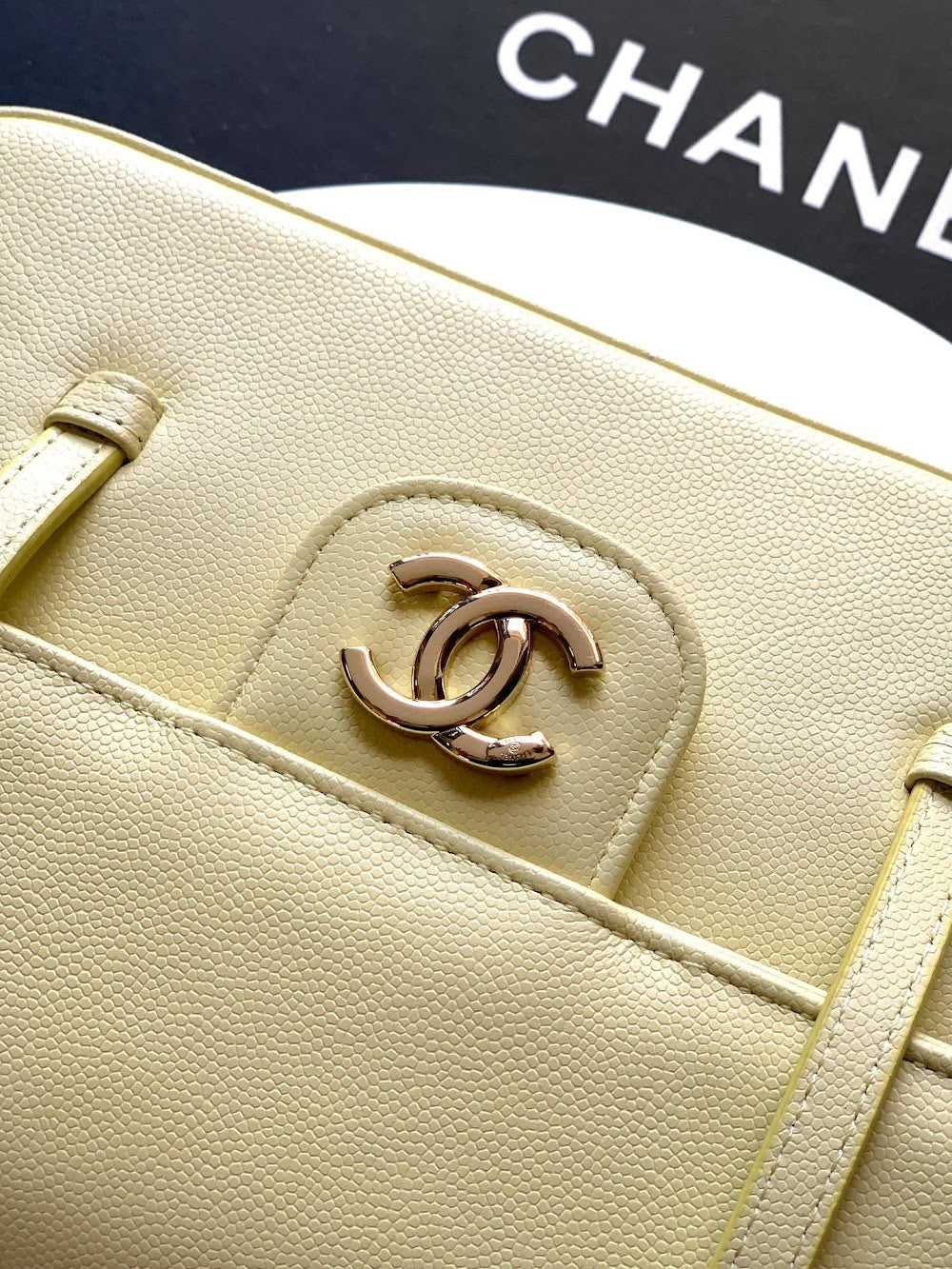 Anum Bags CHn Luxury Bag --112739