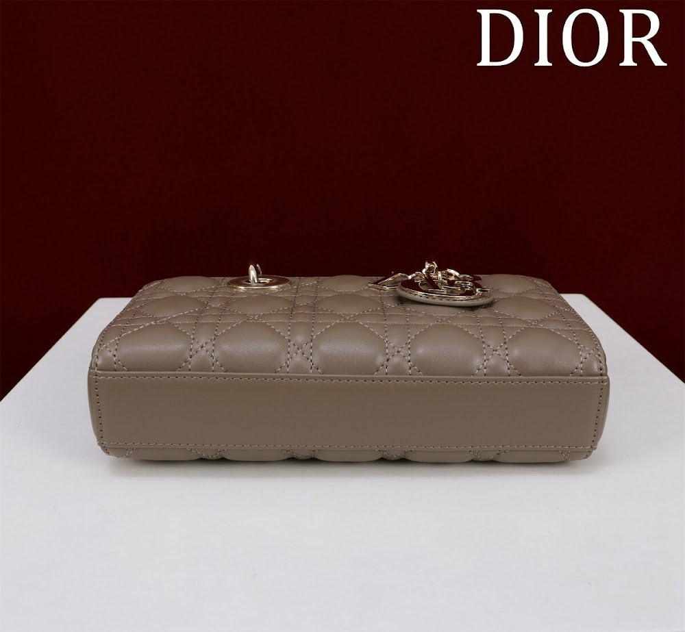 Ezyycart Bags Diorn Luxury Bag --114750