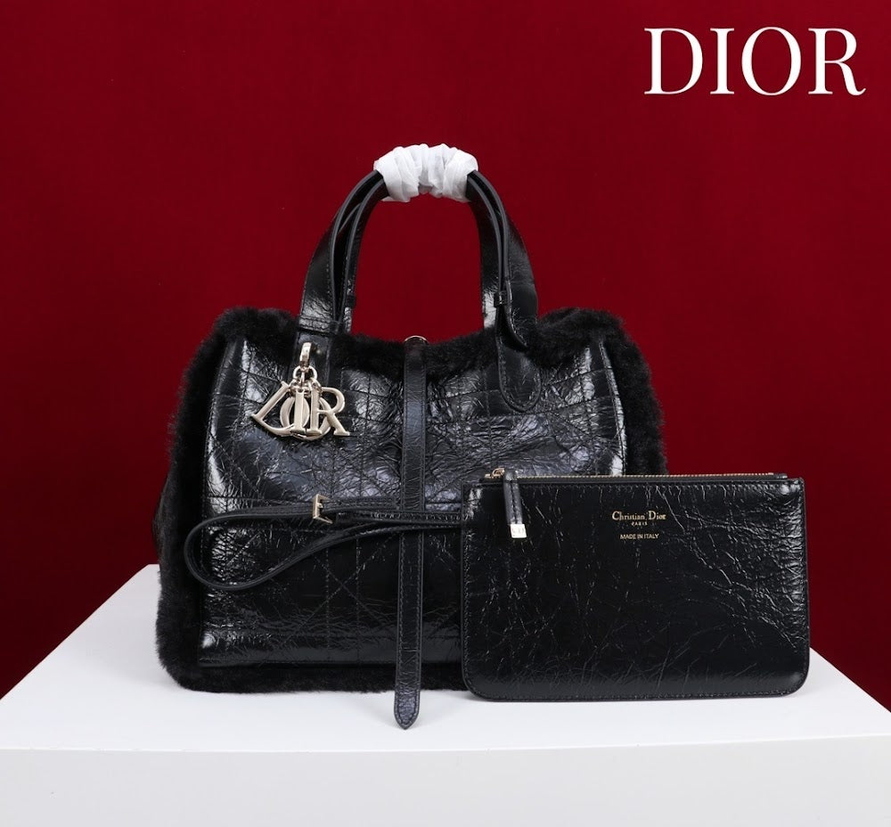 Ezyycart Bags Diorn Luxury Bag --116119