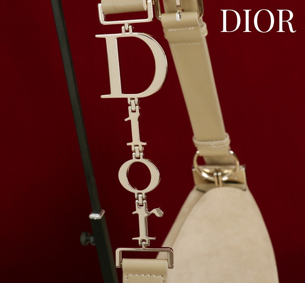 Ezyycart Bags Diorn Luxury Bag --115366