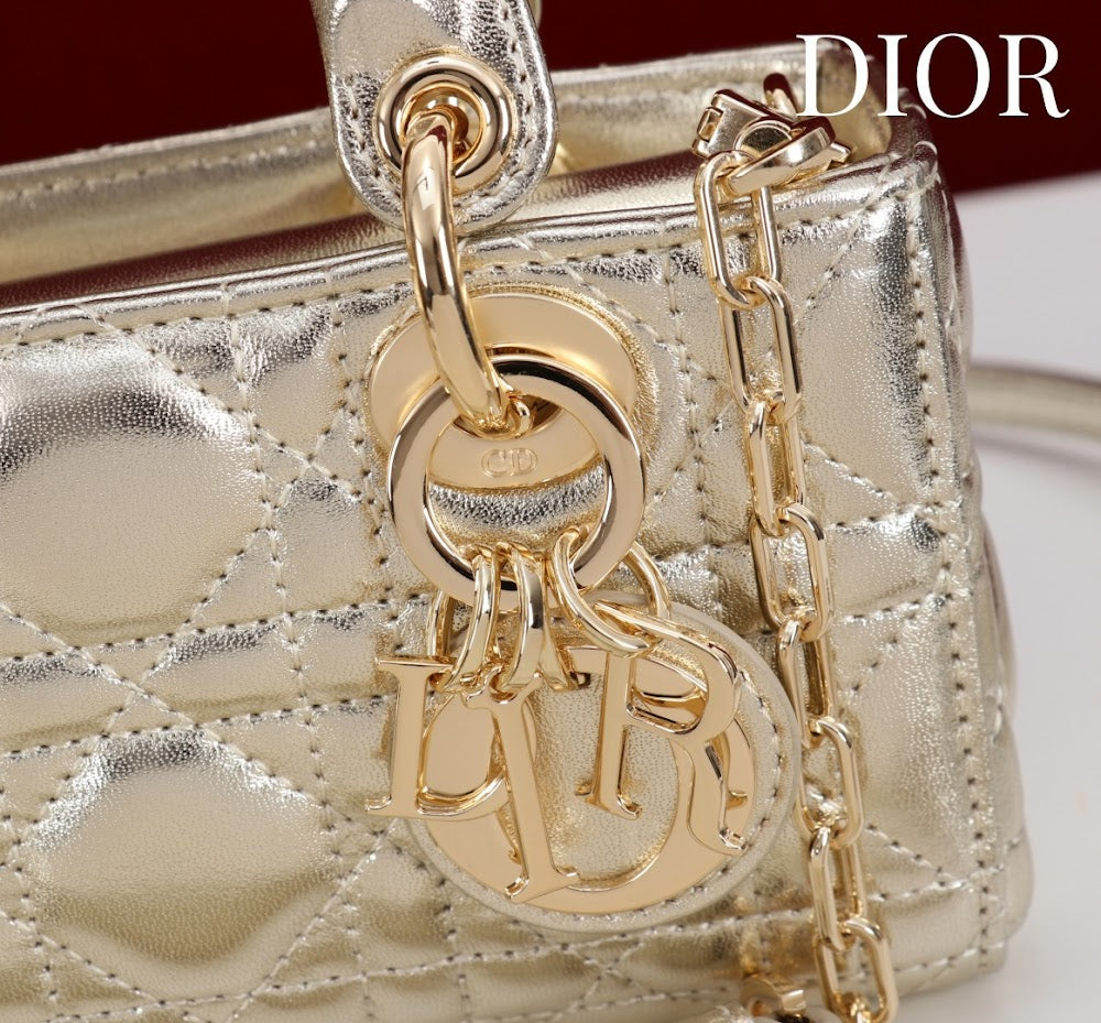 Ezyycart Bags Diorn Luxury Bag --116491