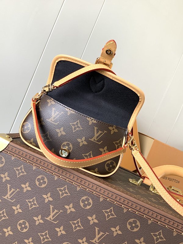 Anum Bags LVn Luxury Bag --79941