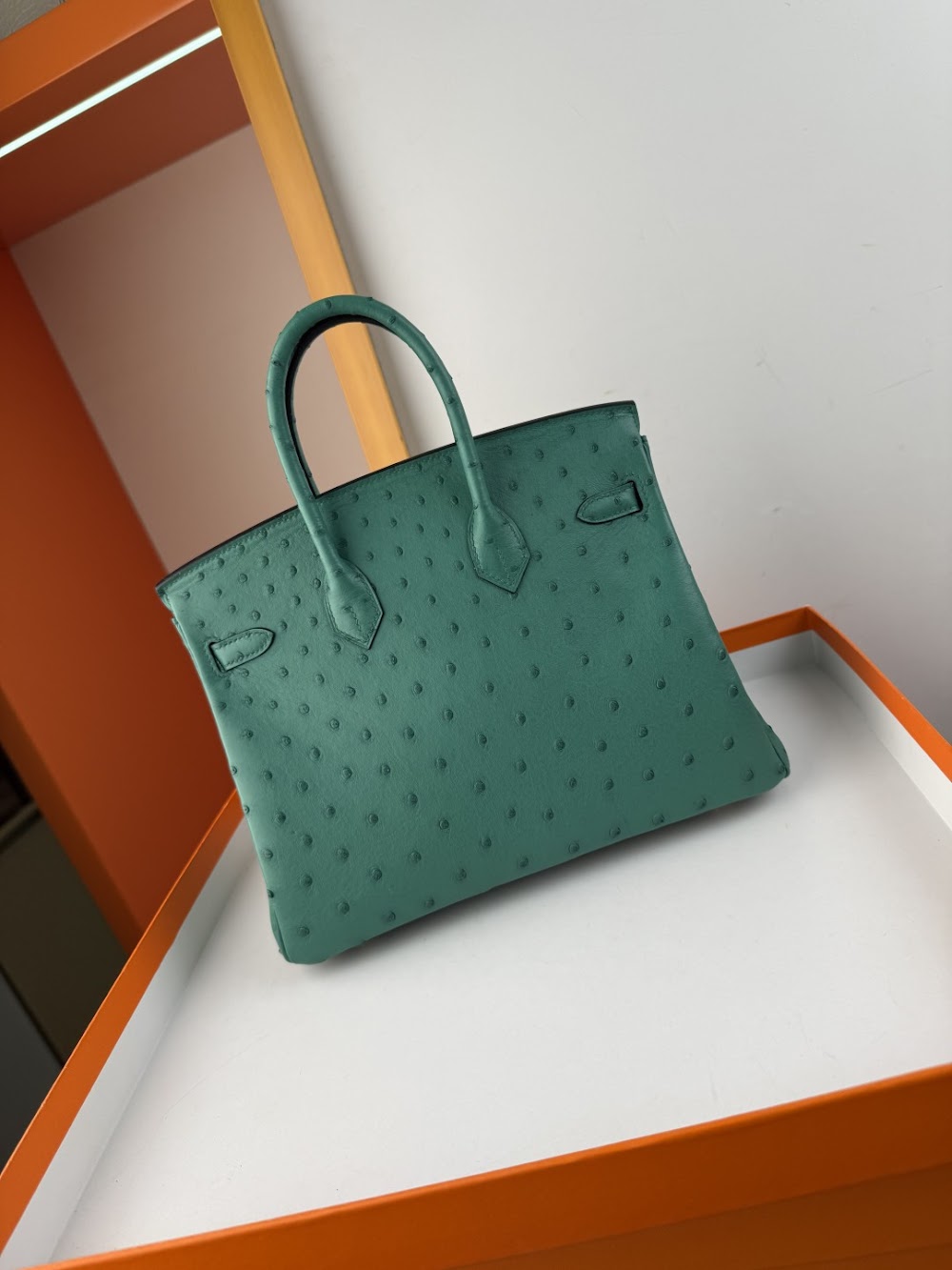 Anum Bags Hermesn Luxury Bag --116757