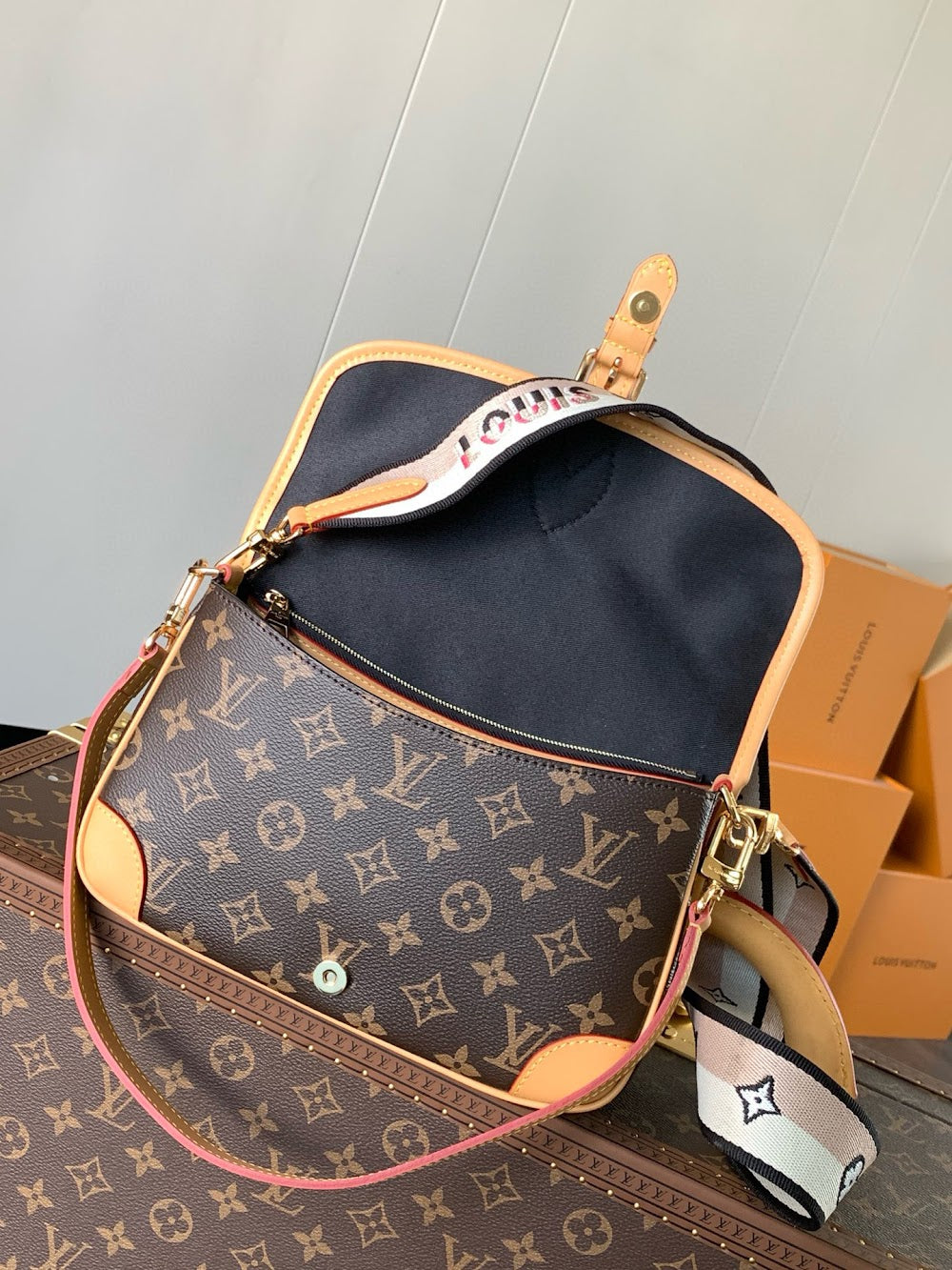 Anum Bags LVn Luxury Bag --79592