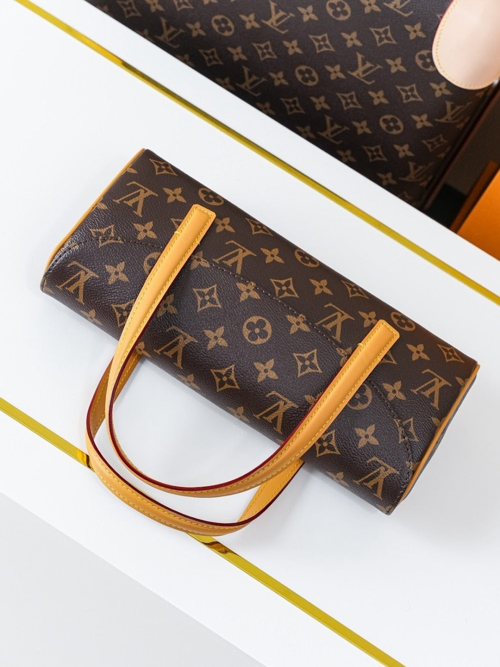 Anum Bags LVn Luxury Bag --79695