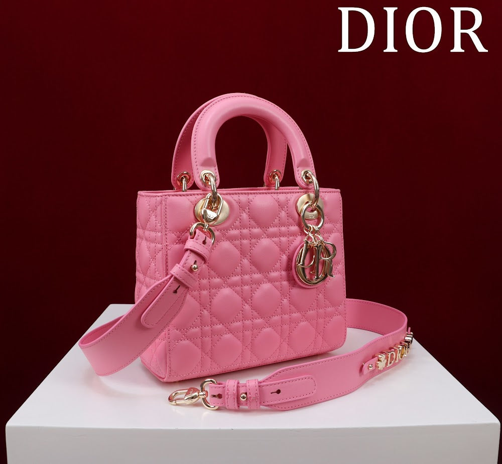 Ezyycart Bags Diorn Luxury Bag --115917