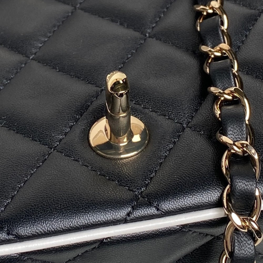 new-designer-premium-bags-nm20831