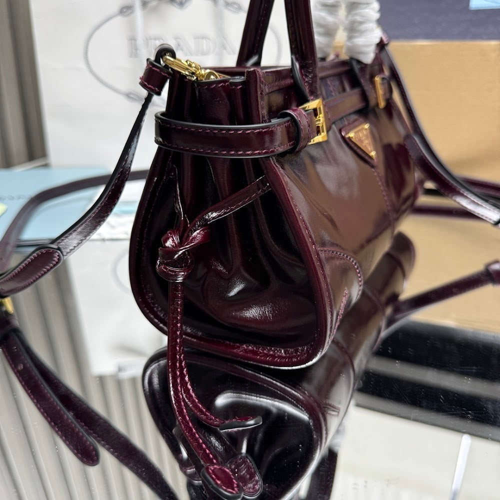 Ezyycart Bags Pradn Luxury Bag --101718