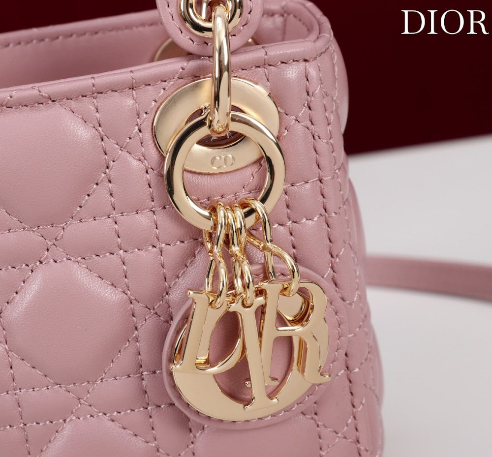 Ezyycart Bags Diorn Luxury Bag --116538