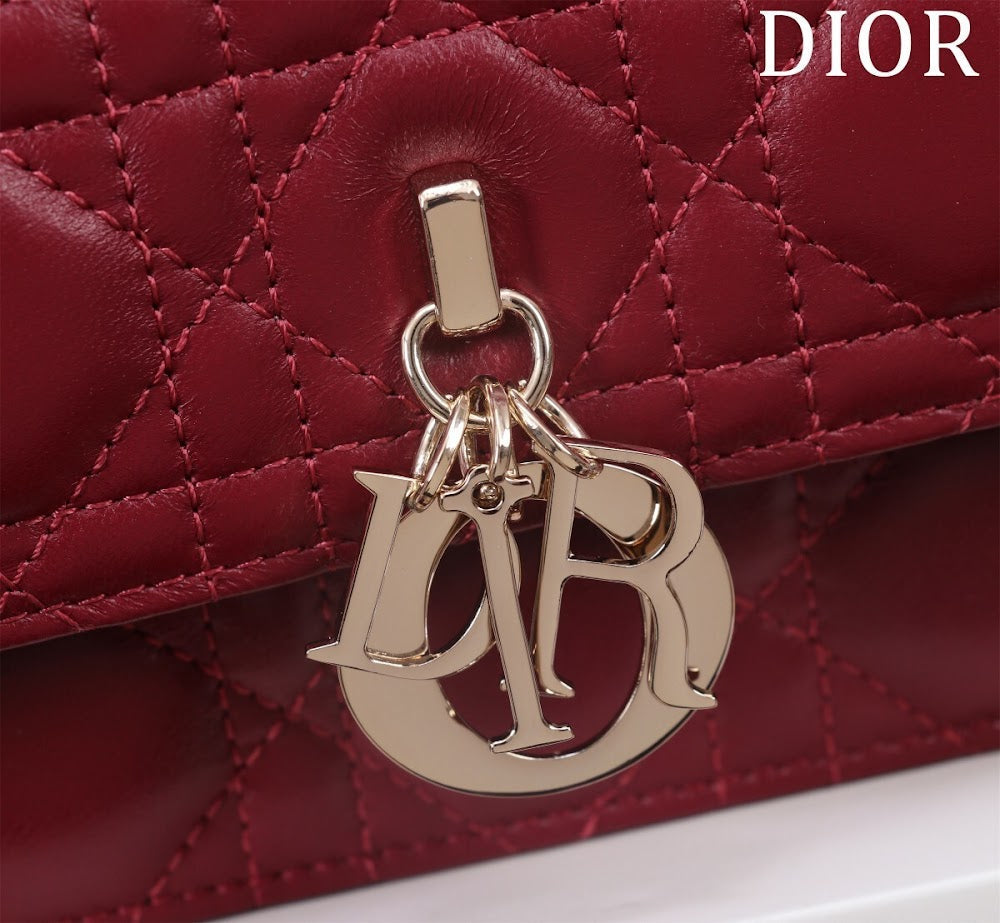 Ezyycart Bags Diorn Luxury Bag --116294
