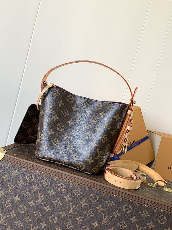 Anum Bags LVn Luxury Bag --80631