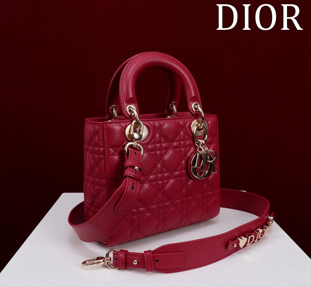 Ezyycart Bags Diorn Luxury Bag --115920