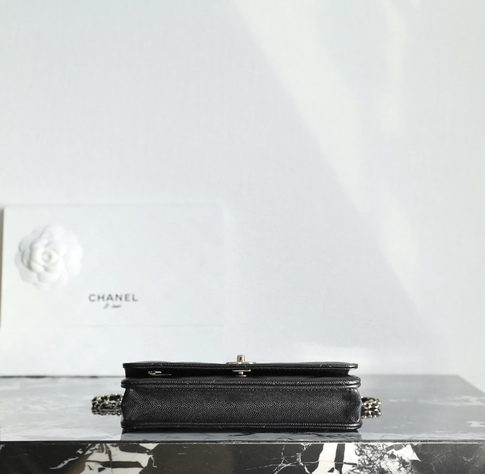 Anum Bags CHn Luxury Bag --113598