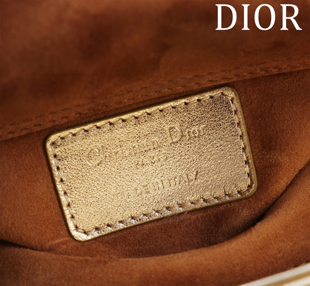 Ezyycart Bags Diorn Luxury Bag --116484