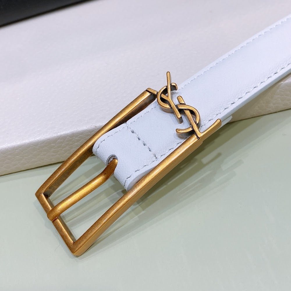 Ezyycart Bags YSLn Luxury Belt --107573