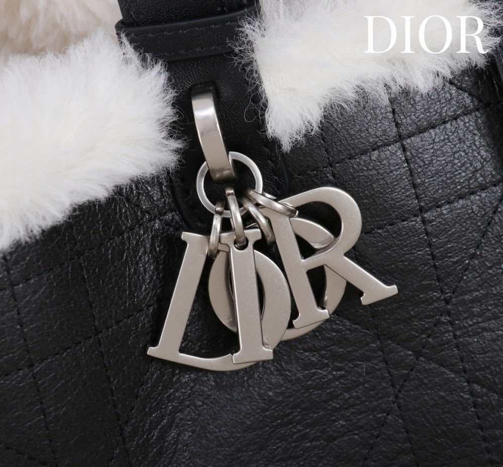 Anum Bags Diorn Luxury Bag --114890