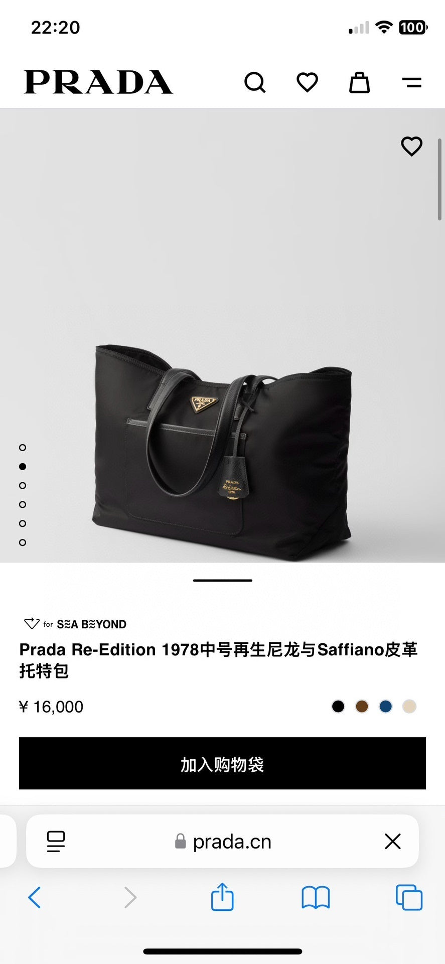 Ezyycart Bags Pradn Luxury Bag --102570