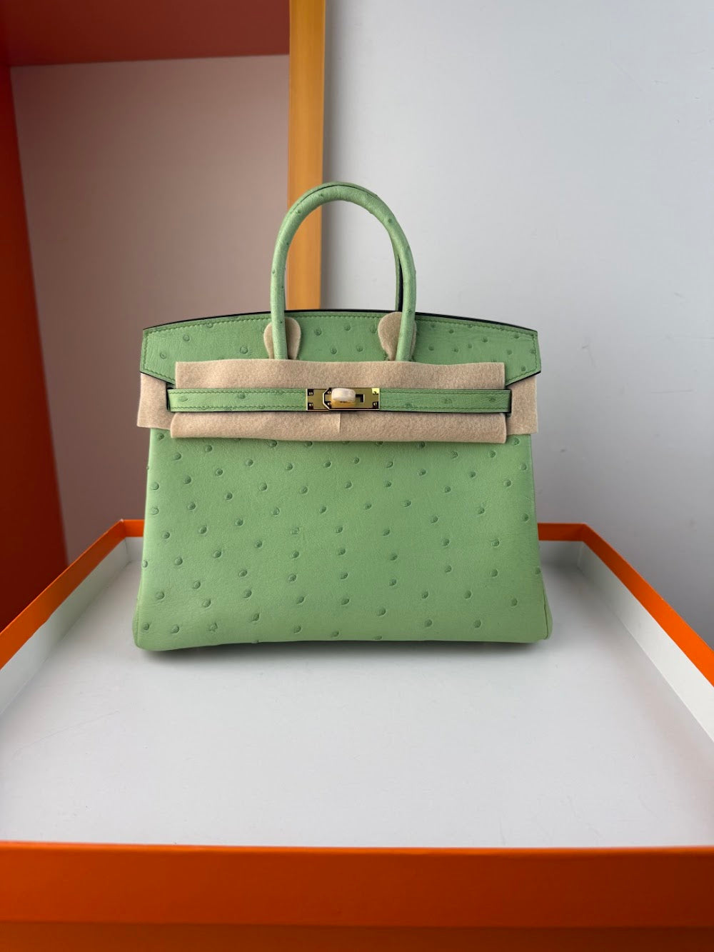 Anum Bags Hermesn Luxury Bag --116759