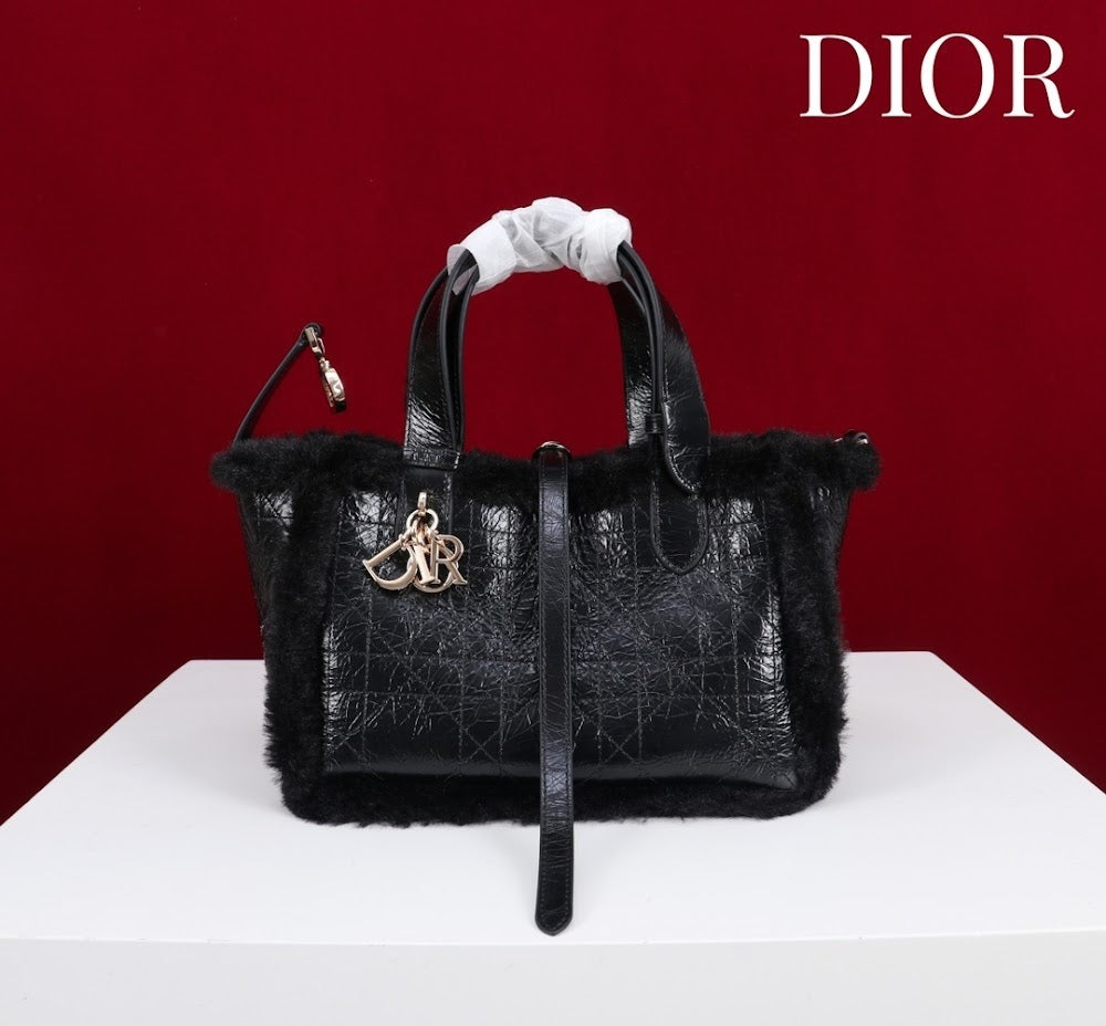 Ezyycart Bags Diorn Luxury Bag --116120