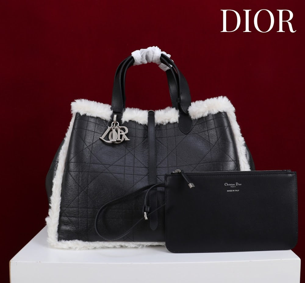 Anum Bags Diorn Luxury Bag --114890