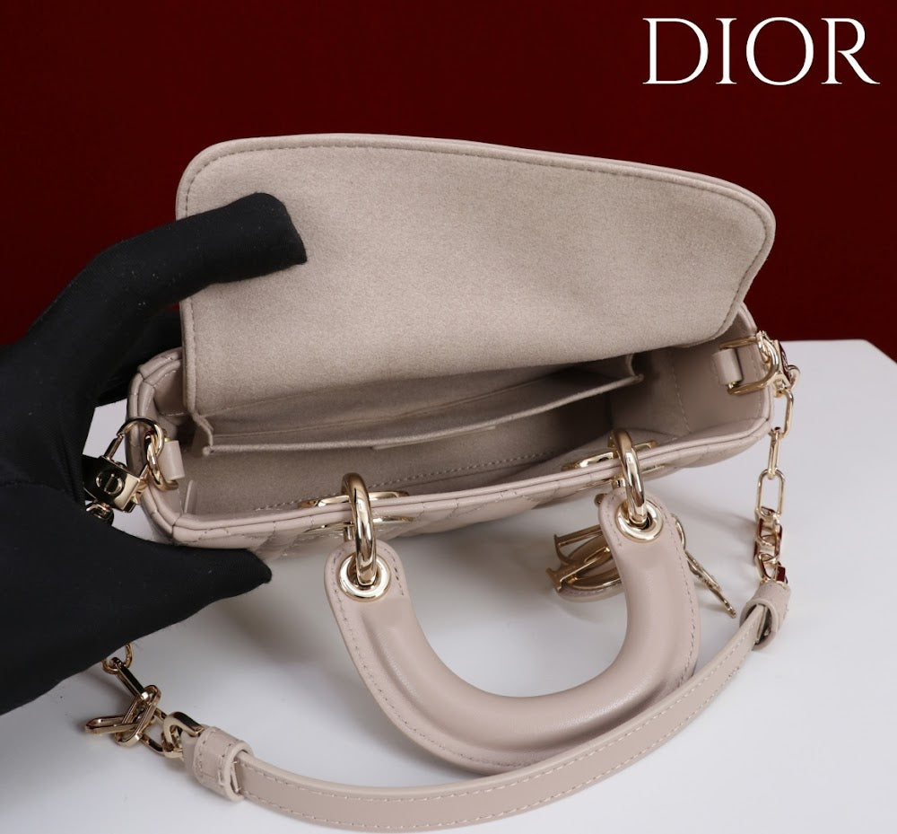 Ezyycart Bags Diorn Luxury Bag --115421