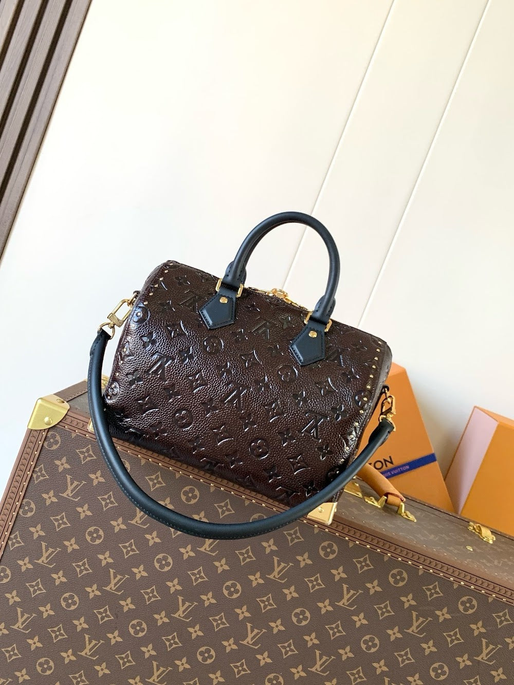 Anum Bags LVn Luxury Bag --79934