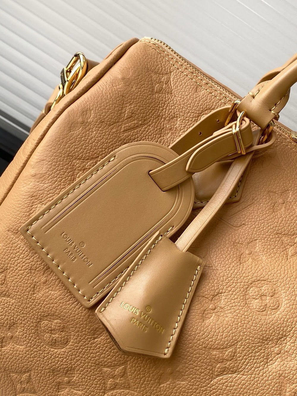 Anum Bags LVn Luxury Bag --79638