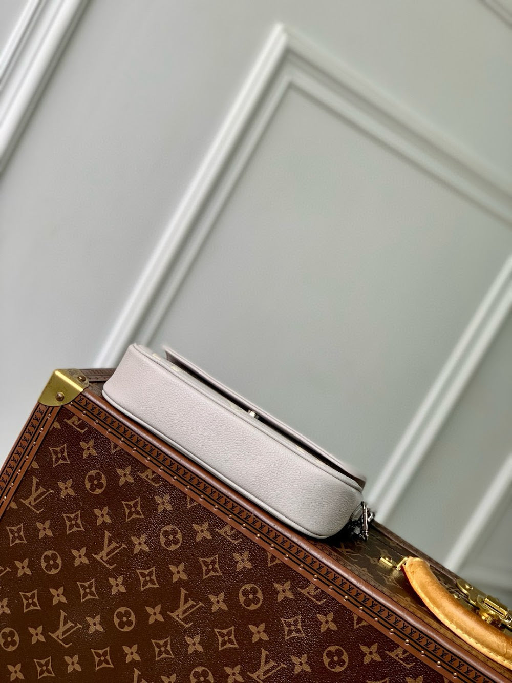 Anum Bags LVn Luxury Bag --79105