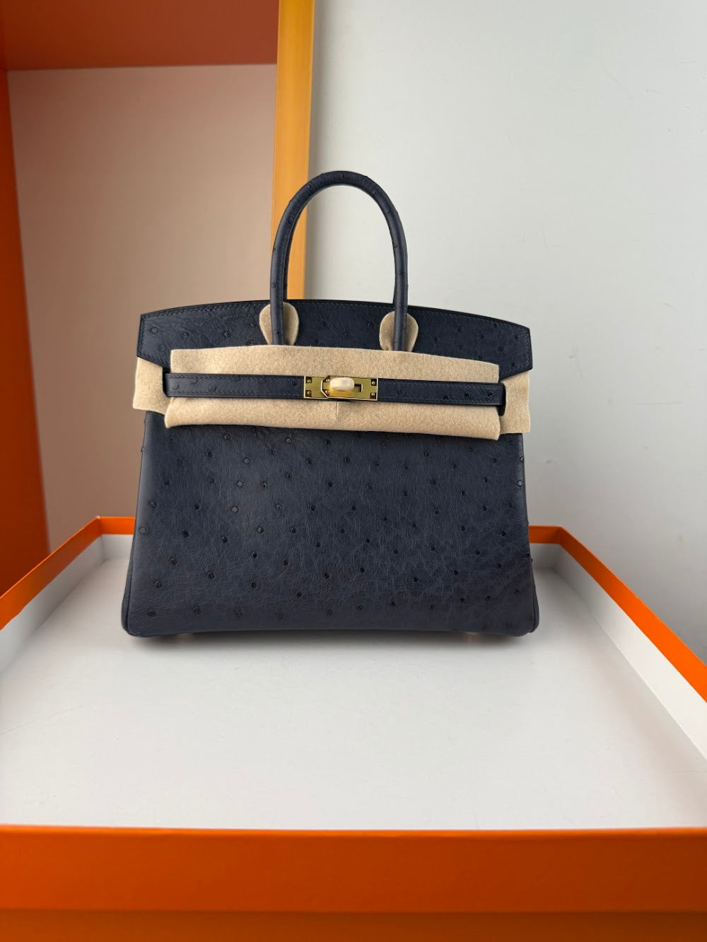 Anum Bags Hermesn Luxury Bag --116751
