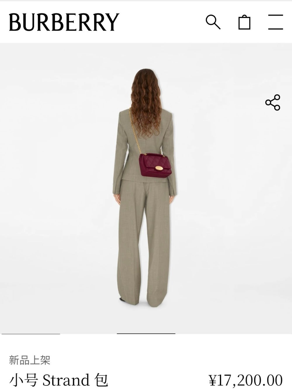 Ezyycart Bags Burberryn Luxury Bag --92335