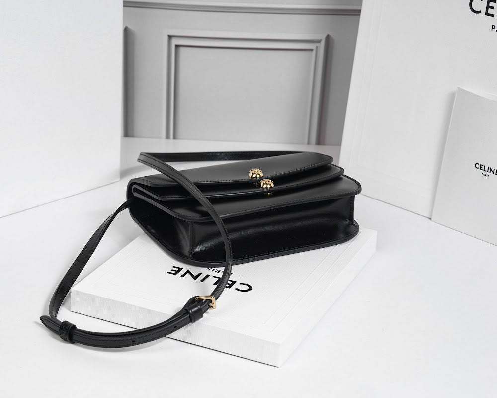 Ezyycart Bags Celine Luxury Bag --112594
