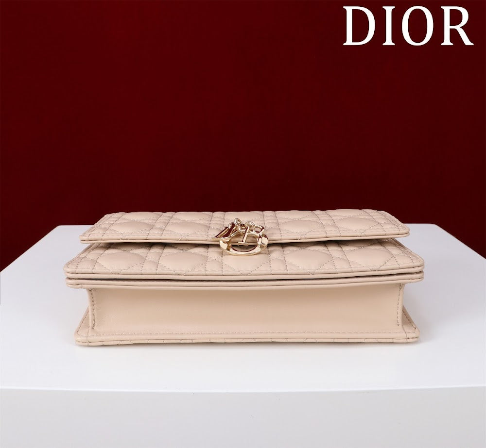Ezyycart Bags Diorn Luxury Bag --116291