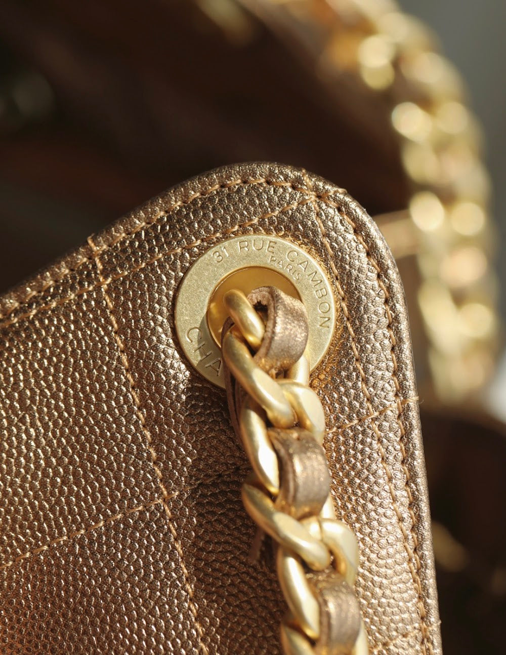 Anum Bags CHn Luxury Bag --113720