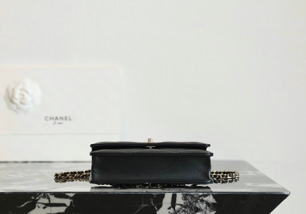 Anum Bags CHn Luxury Bag --113591