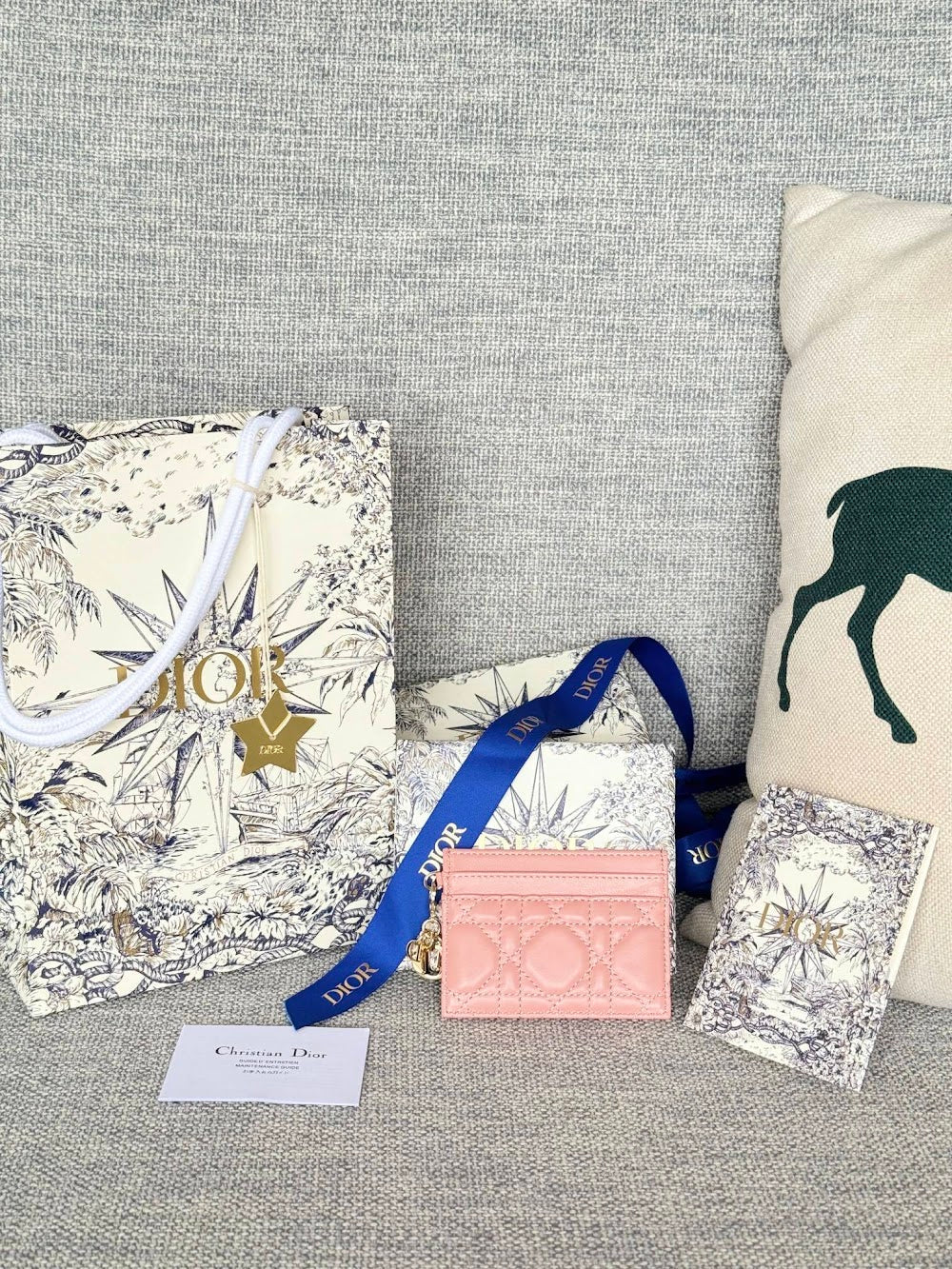 Anum Bags Diorn Luxury Bag --114677