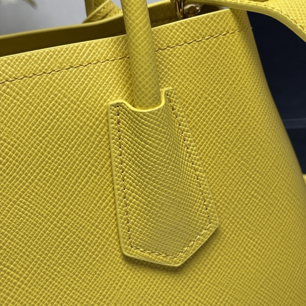 Ezyycart Bags Pradn Luxury Bag --102318